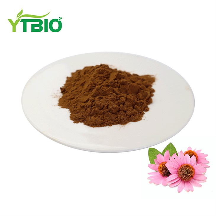 Echinacea Extract Powder